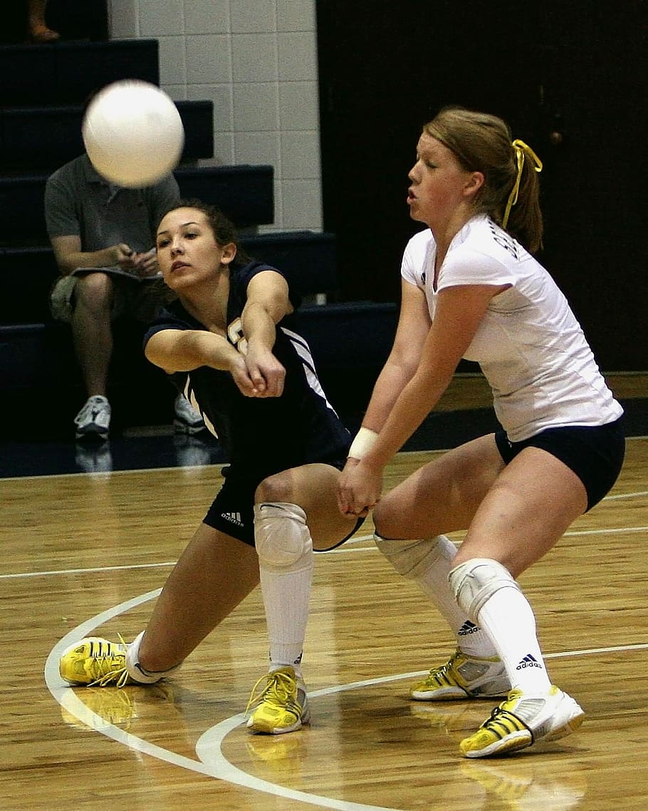Volleyball, Female, Players, Volley, girl, athletic, ball, athlete, sports, competition