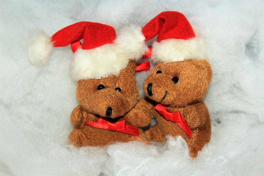 two, brown, bear, plush, toys, red, hats, christmas, christmas bear, snow
