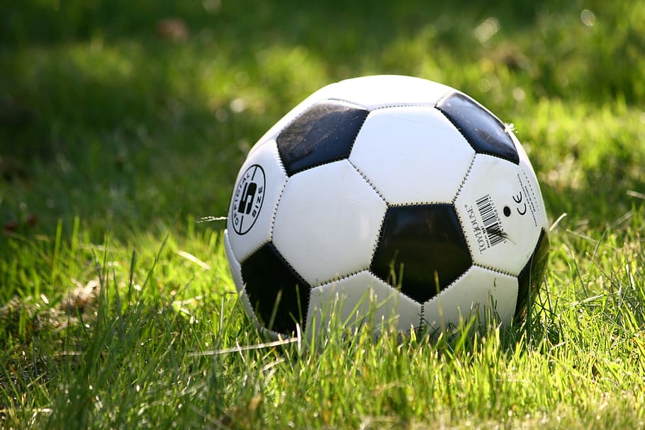 soccer ball, green, grasses, daytime, football, grass, play, football games, soccer, garden