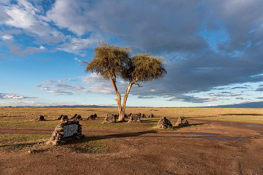 Exploring Kenya: A Safari Guide