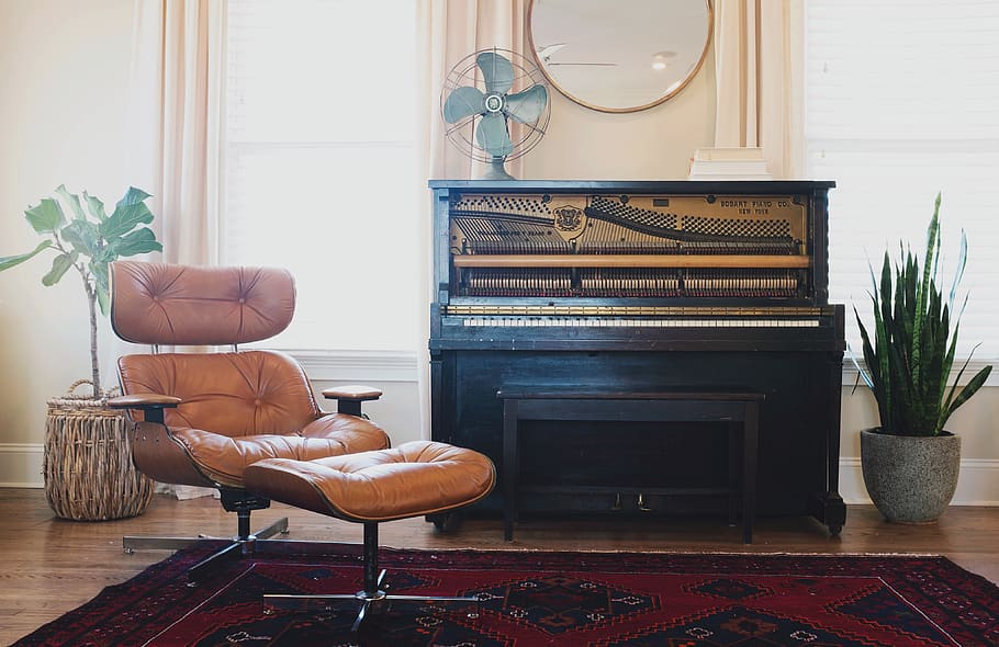 piano, teclado, musical, instrumento, sofá, sala de estar, interior, casa, plantas, interior del hogar