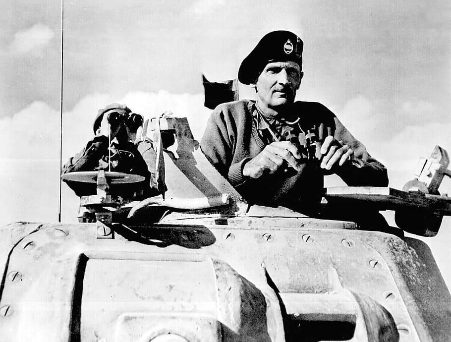 geral, segunda, batalha, britânico, Bernard Montgomery, assistindo, segunda batalha de El Alamein, geral britânico, fotos, domínio público