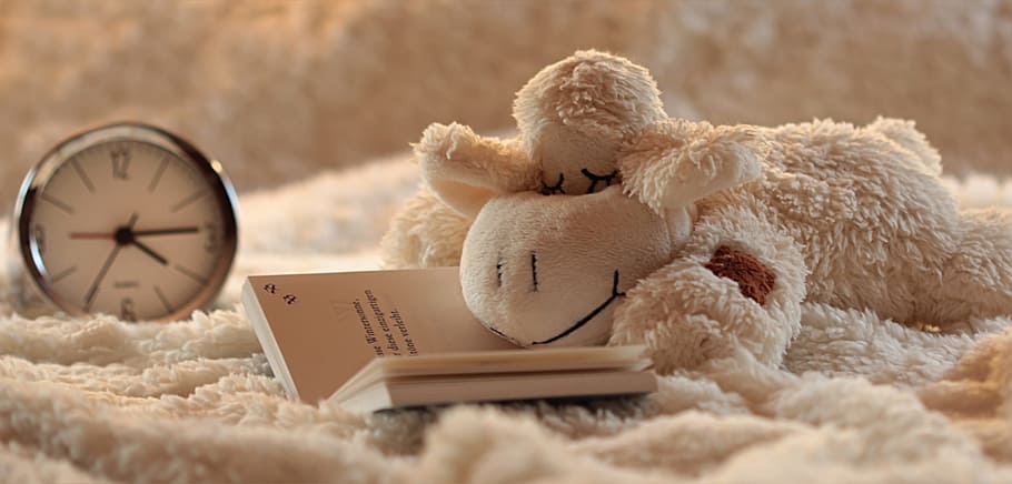 gray alarm clock, still life, lamb, stuffed animal, snuggle, cozy, lying, tired, read book, fall asleep