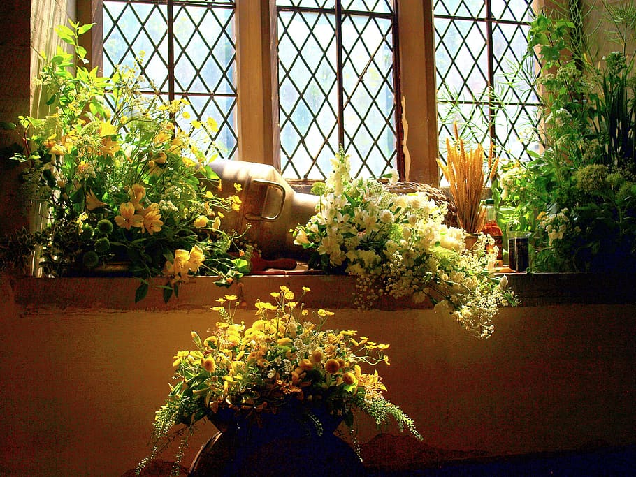 iglesia, flores, exhibidor, ventana, planta, planta floreciendo, flor, crecimiento, naturaleza, día
