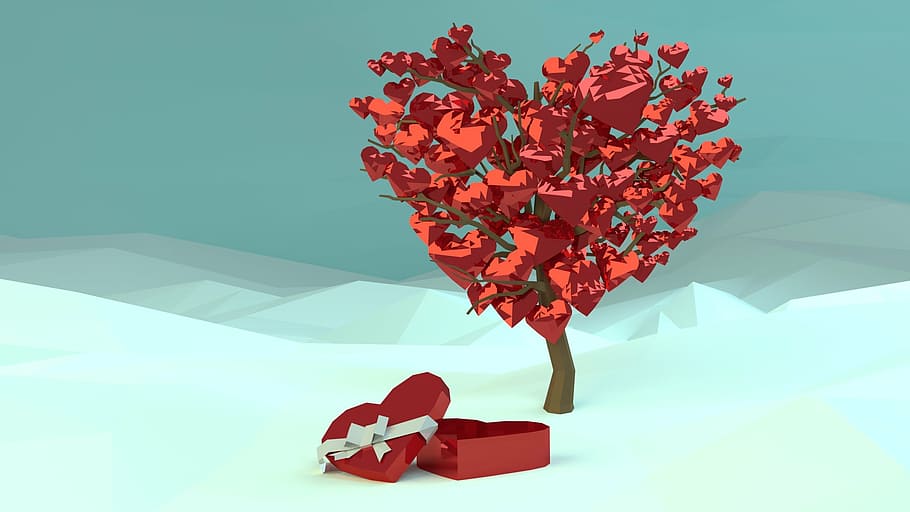 foto, berbentuk hati, merah, putih, kotak kado, di samping, pohon, valentine, santa valentine, cinta