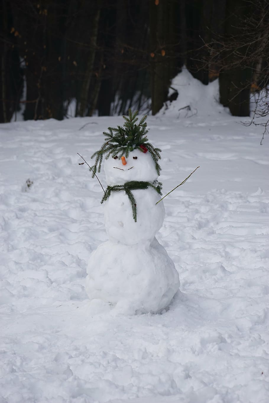 muñeco de nieve, nieve, invierno, temperatura fría, color blanco, un animal, día, al aire libre, naturaleza, campo
