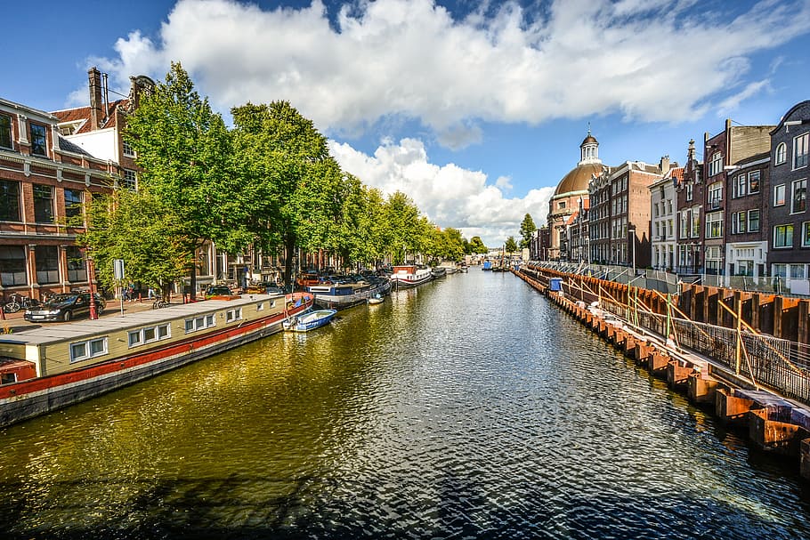 green, trees, along, body, water, amsterdam, canal, sunny, summer, dutch