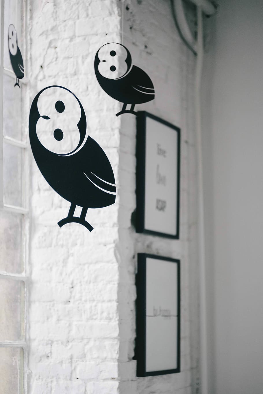 little, black, plastic owls, hanging, ceiling, Little black, plastic, owls, birds, wall - Building Feature