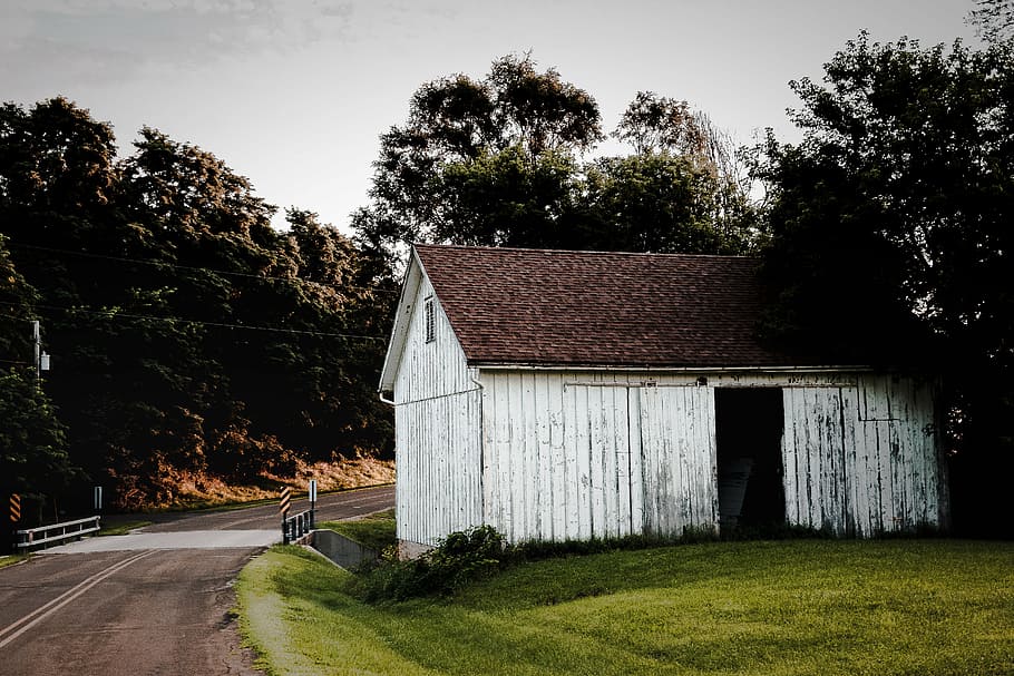 Country Barn Landscape Barn Scenic Tree Plant Architecture