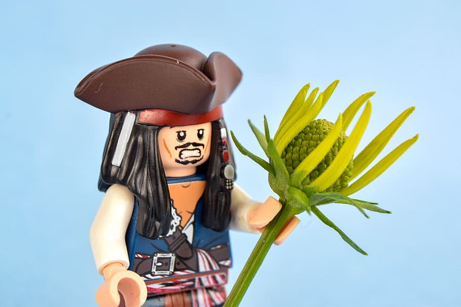 lego, pirate, flower, captain, pirates, human representation, representation, hat, humor, sky