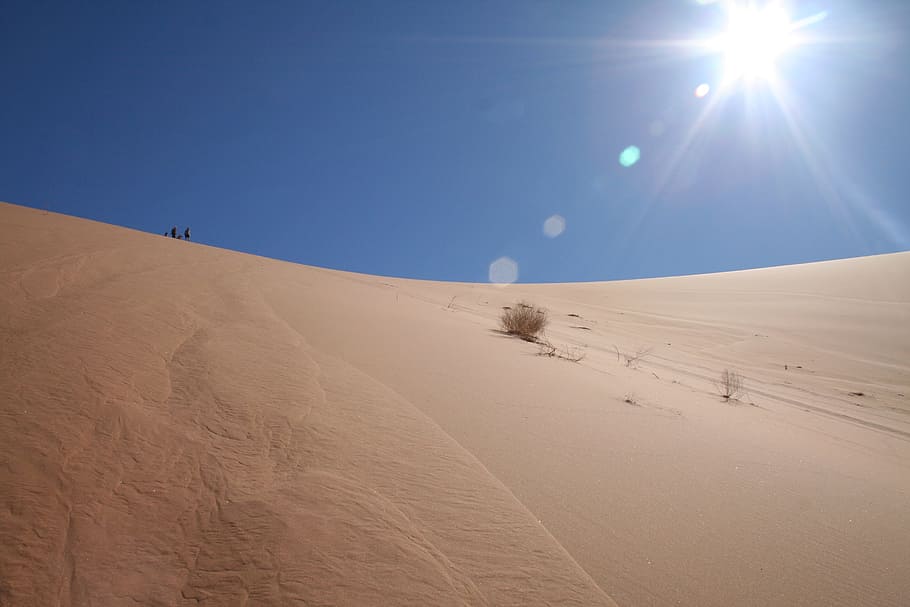 desierto, áfrica, namib, namibia, arena, naturaleza, seco, sossusvlei, rayo de sol, arena de roter