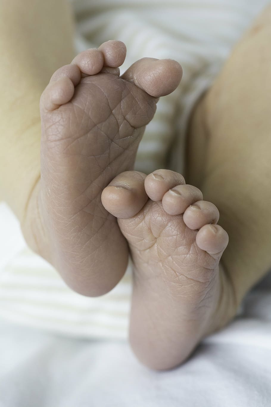 baby, feet, newborn, little, infant, child, small, toes, cute, person