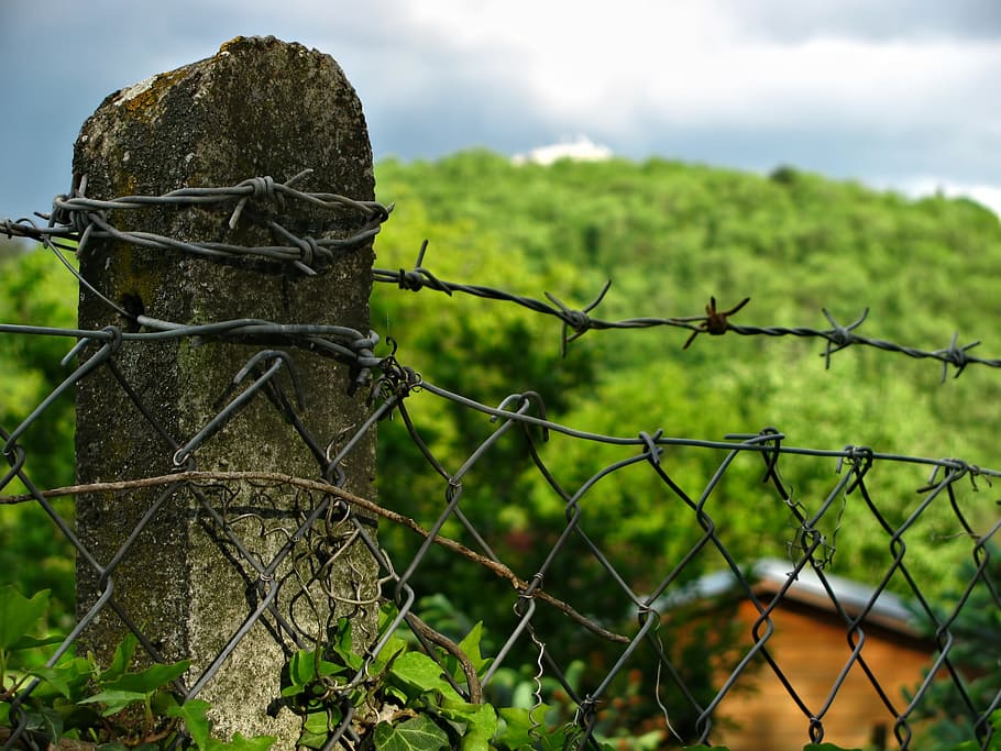 Landscape, Fence, Colors, Wood, Forest, sunny, spring, scenery, barbed Wire, boundary