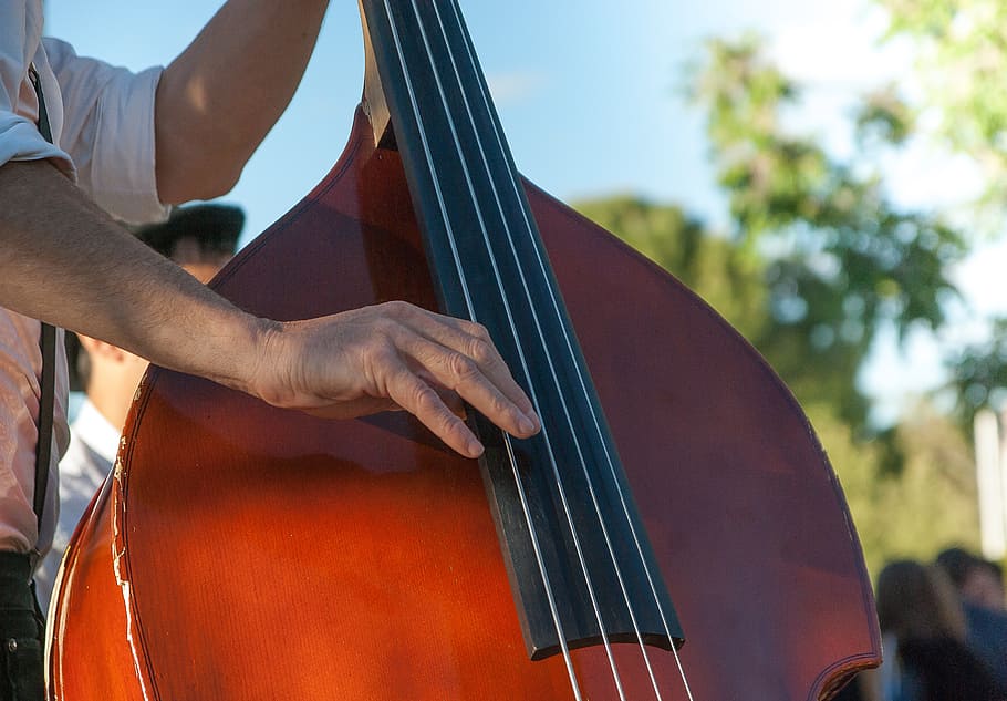 double bass, musician, music, strings, orchestra, musical instrument, arts culture and entertainment, musical equipment, artist, playing
