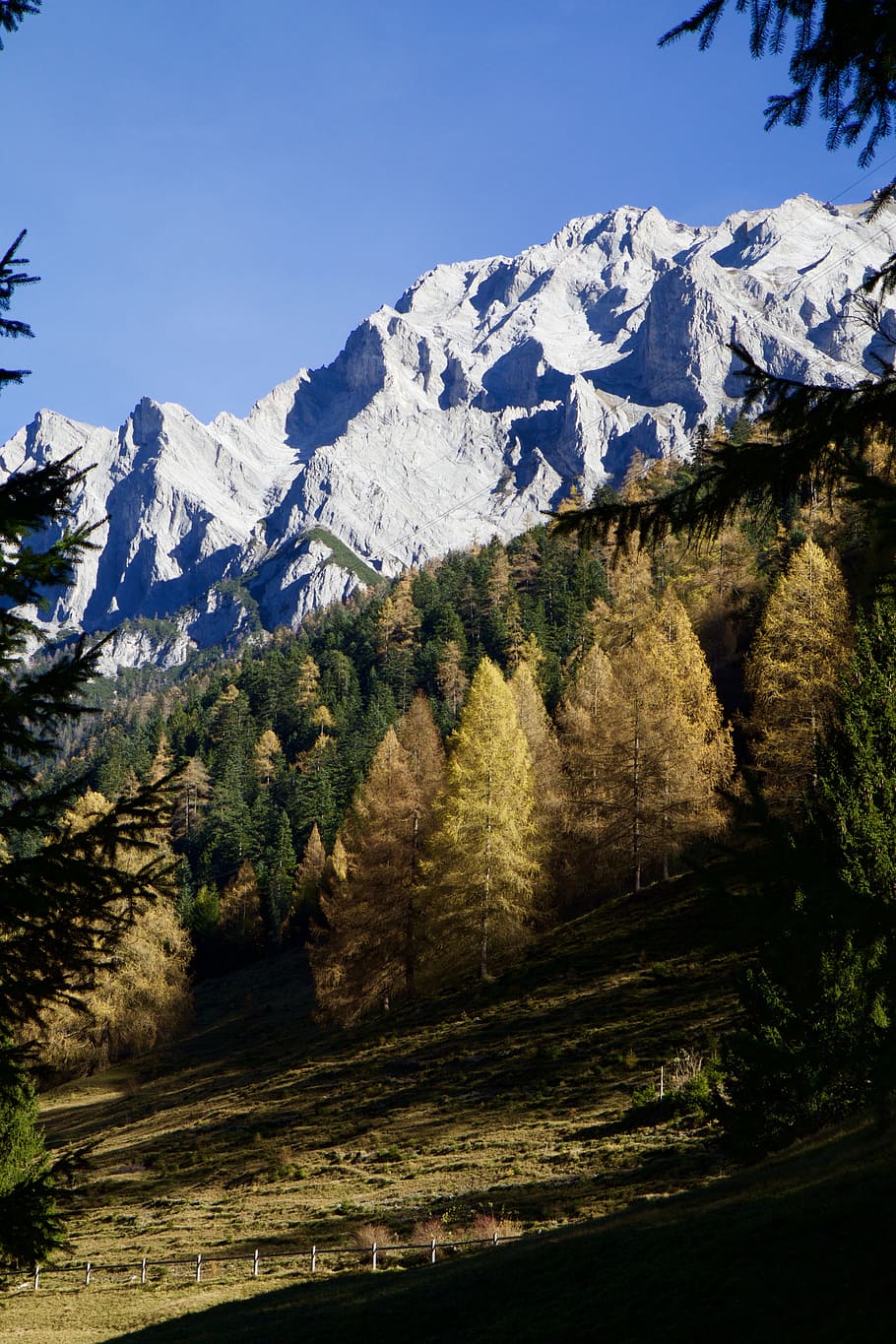 Mountains, Alpine, Fir, Pine, Autumn, alpine, fir, mountain, nature, landscape, scenics