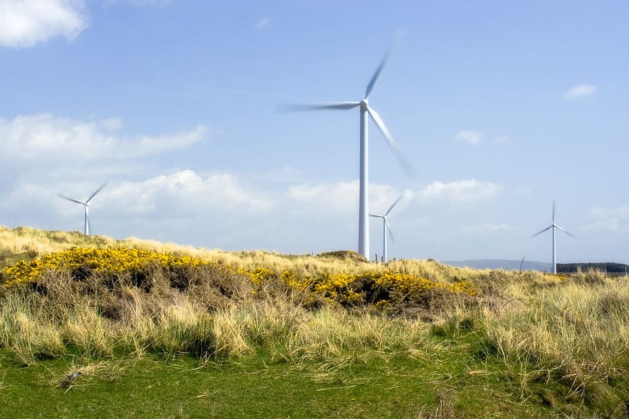 foto, turbante eólico, diurno, vento, turbina, poder, energia, eletricidade, verde, limpo