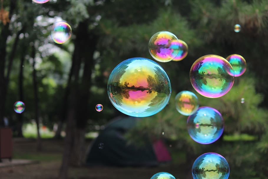 photography, bubbles, green, rees, bubble, reflection, rainbow, fragility, vulnerability, transparent