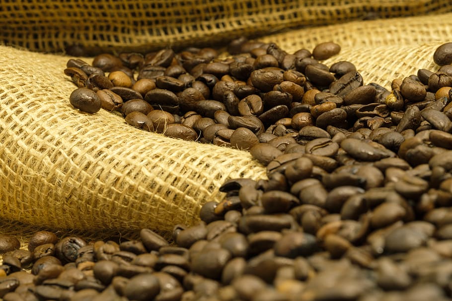 kopi, biji kopi, tas, kantong kopi, kafein, sangrai, manfaat dari, stimulan, makanan dan minuman, biji kopi panggang