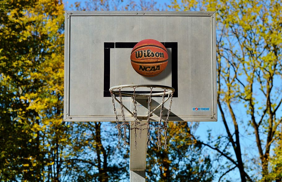 wilson basketball, gray, basketball board, basketball hoop, basketball, ball sports, basket, sport, ball game, streetball basket