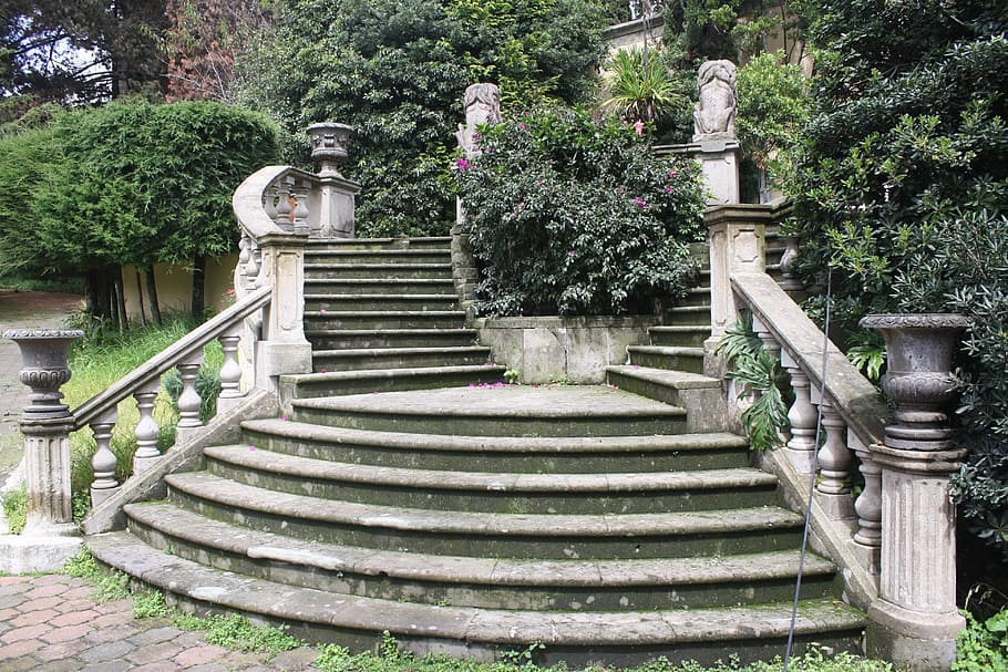 gris, hormigón, al lado, plantas, México, Escaleras, Piedra, Punto de referencia, Antiguo, pasos