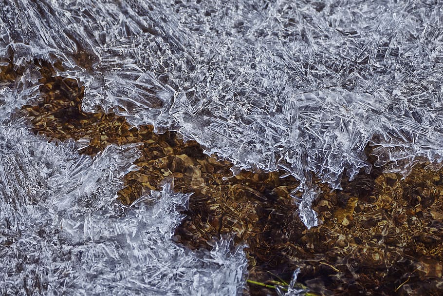 water, icy, eiskristalle, frozen, creek, frost, winter, cold, crystal, ice