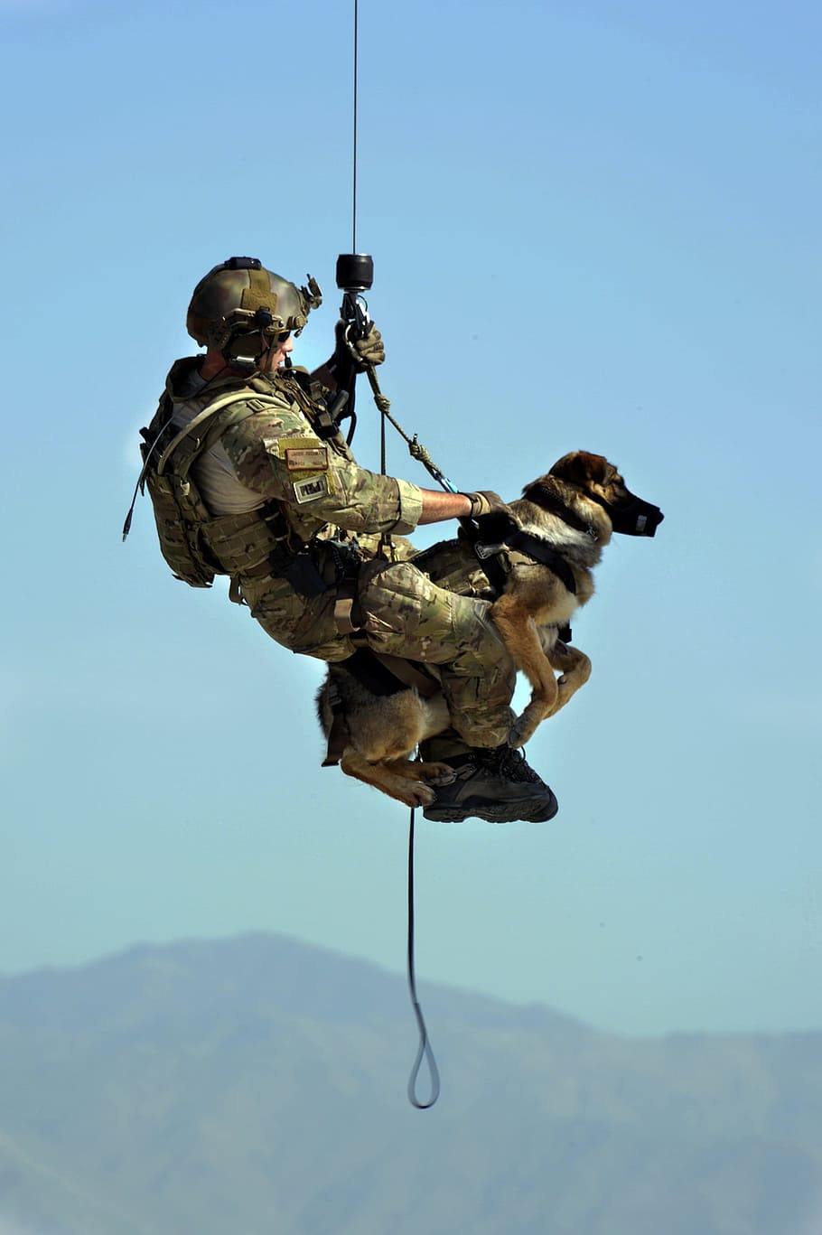 masculino, soldado, transporte, perro, al aire libre, rescate, canino, pastor alemán, servicio, línea