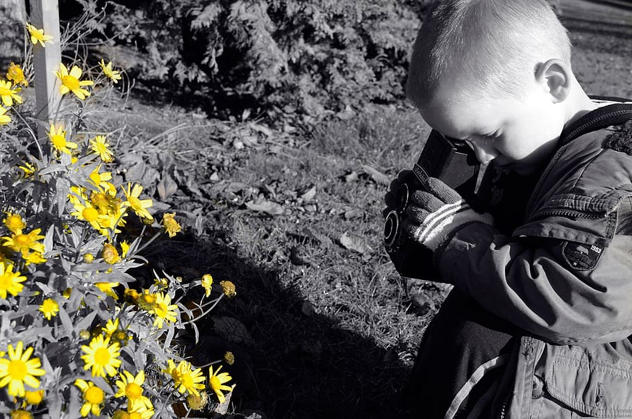 seletiva, foto de foco, criança, colocação, livro, testa, em pé, frente, amarelo, flores de pétalas