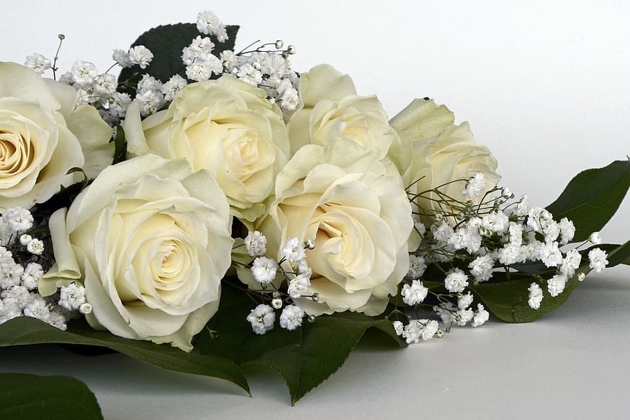 bouquet, white, roses, rose flower, flowers, gypsophila, flower, nature, bouquet of flowers, love
