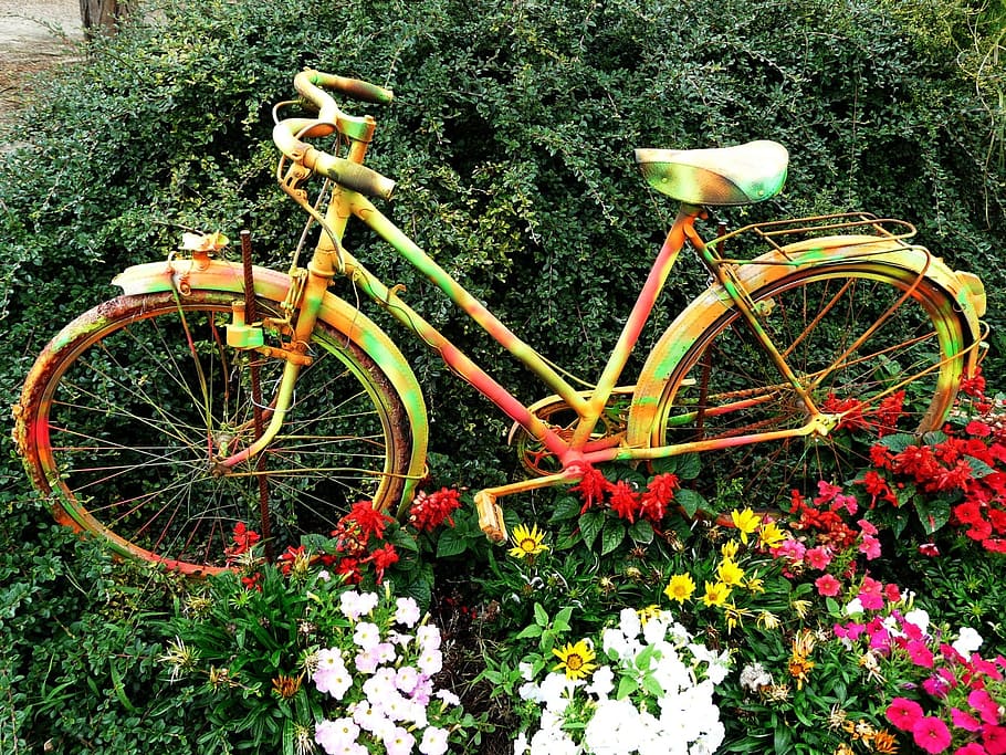 bicicleta de la ciudad amarilla, flores, bicicleta, cama de flores, ciclo, deporte, ocio, ejercicio, ciclista, ciclismo