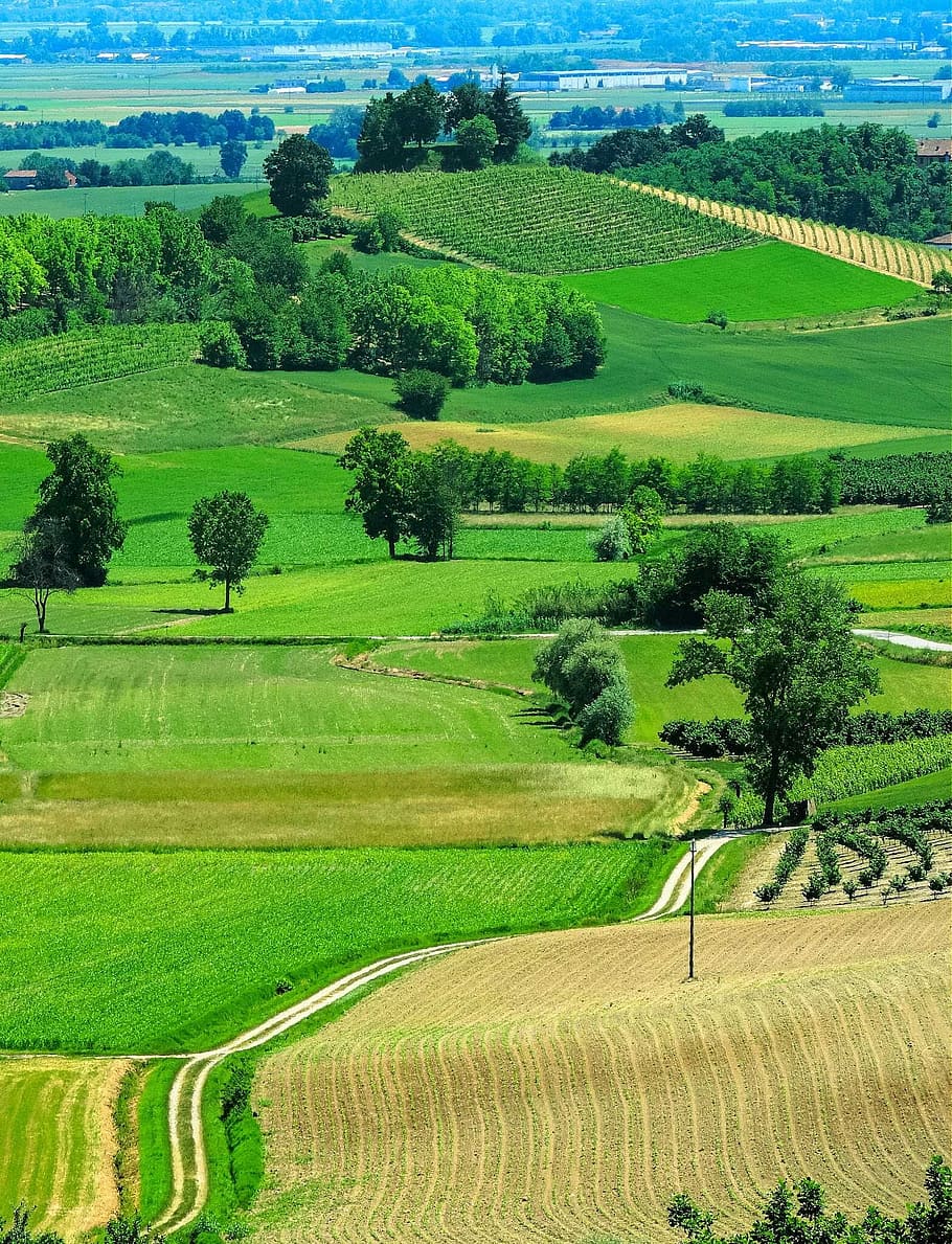 aerial, view photography, rice field, monferrato, cuccaro, piemonte, italy, meadows, prato, hill