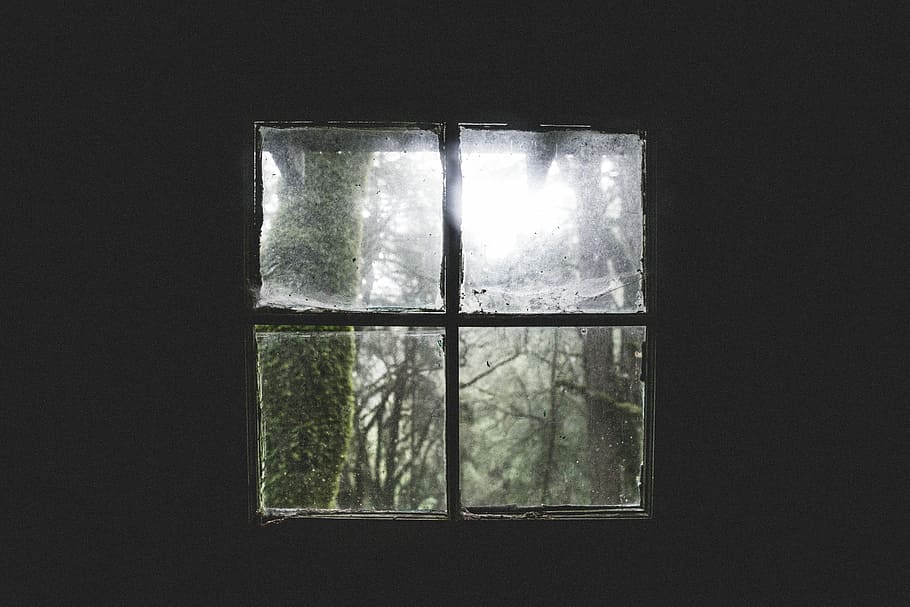painel de janela de vidro, vidro, janela, painel, preto, cinza, verde, luzes, árvores, branco