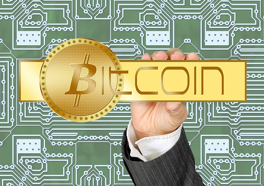 person, holding, bitcoin signage, bitcoin, crypto-currency, currency, money, hand, keep, business card