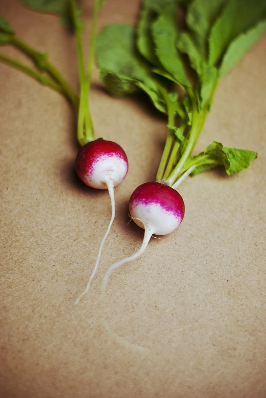 two purple onions, close, green, vegetable, leaves, stem, radish, vegetables, healthy, food