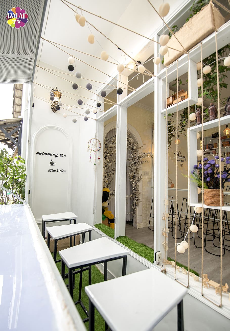 Beautiful Cafe Bookshelf Chair Table Indoors Architecture