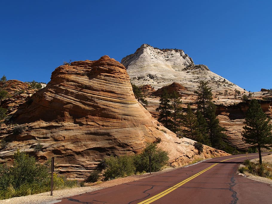zion national park, utah, red road, scenery, tourist attraction, erosion, red rocks, nature, mountain, uSA