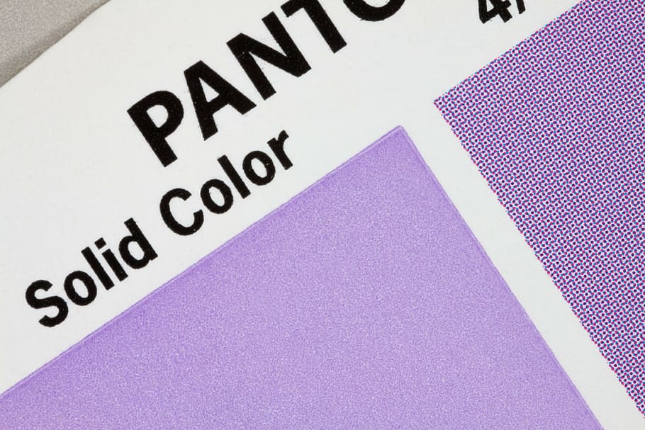 purple color, color fan, pantone, printing inks, concentrated, grid, halftone dots, four-color printing, cmyk, precision