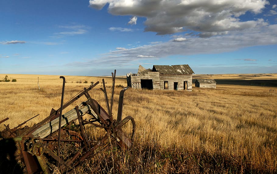 Abandoned, Alberta, wooden, house, grass, cloudy, sky, cloud - sky, land, damaged