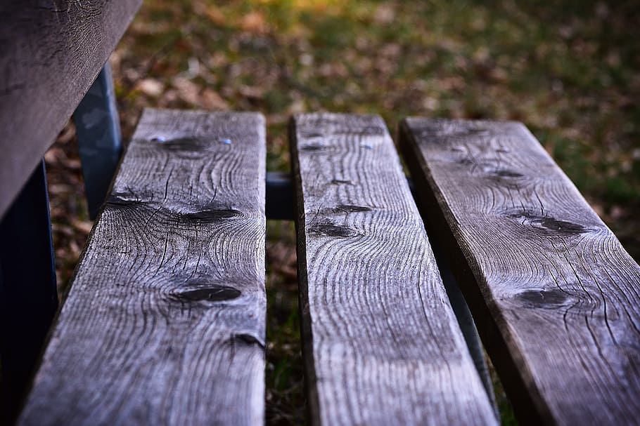 bank, wooden bench, bench, nature, wood, click, rest, close, wood - material, close-up