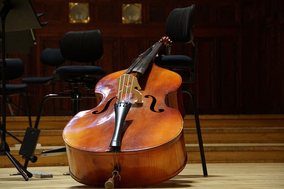 wooden, cello, leaning, chair, bass, double bass, musical instrument, string, concert, classical music