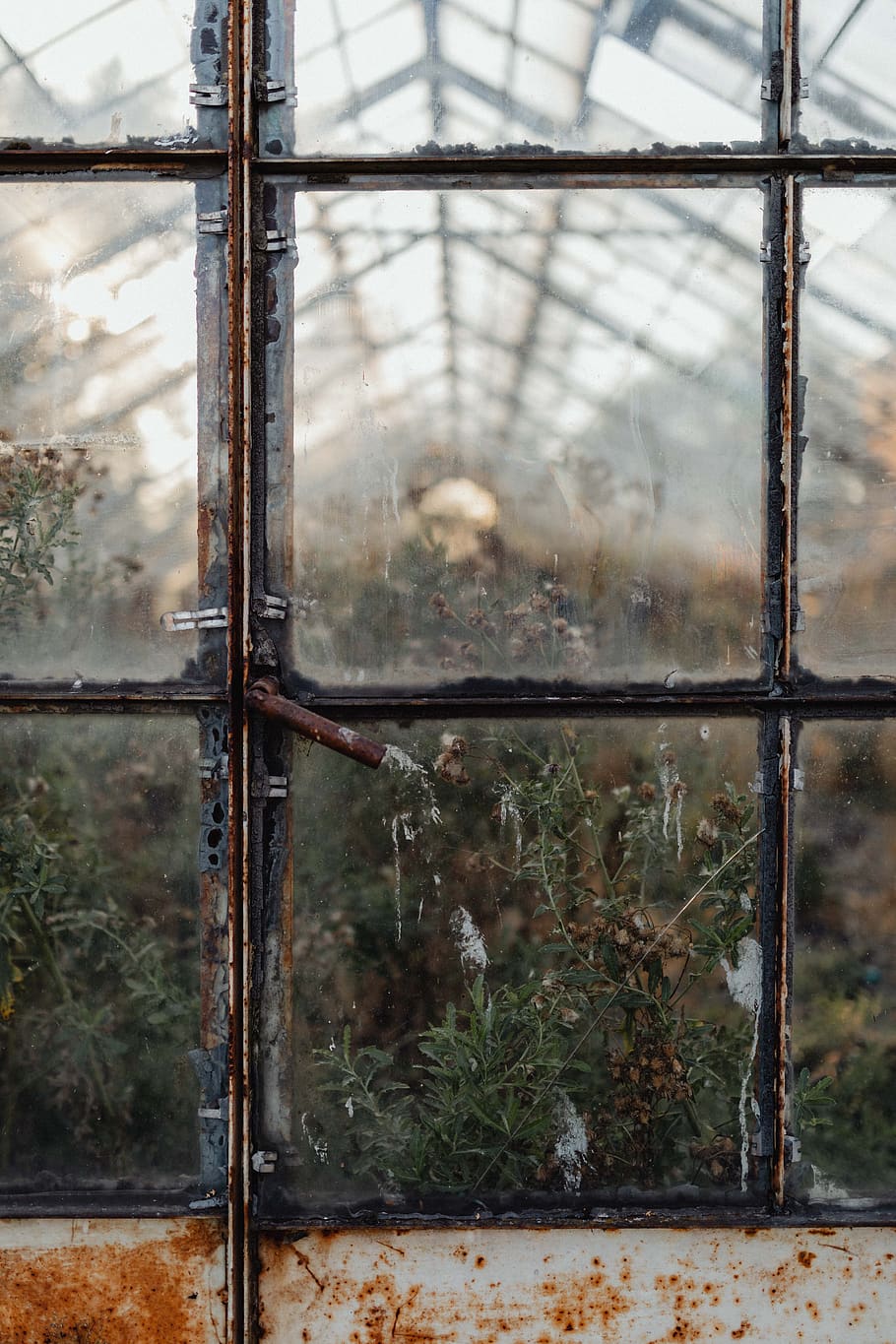 dried flowers, greenhouse, vintage, grunge, old, window, dead, wallpaper, background, dirty