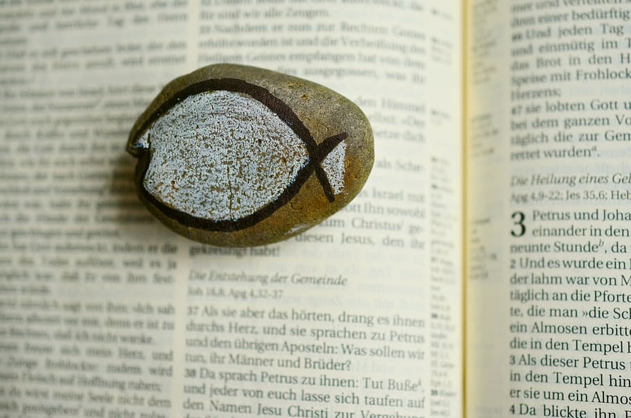 sin título, piedra, símbolo, símbolo del pez, fe cristiana, cristianismo, biblia, comunidad piensa, sagrada escritura, bautizar