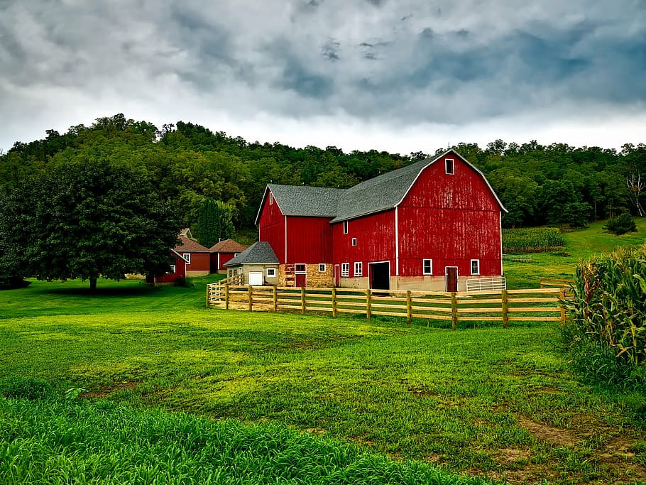 red, brown, wooden, house, trees, daytime, wisconsin, farm, country, rural