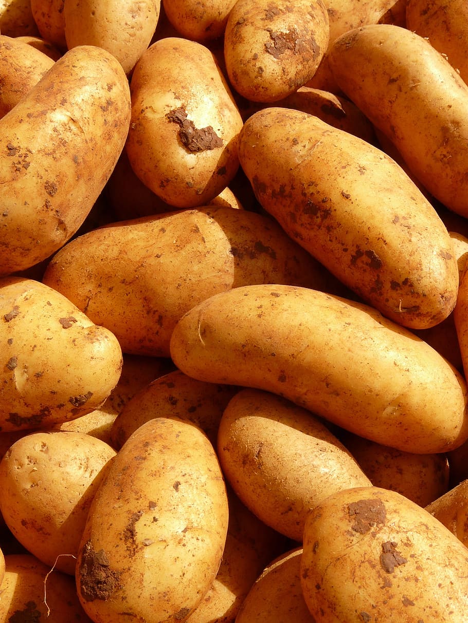 bunch of potatoes, potatoes, vegetables, potato, food, ingredient, eat, market, food and drink, healthy eating