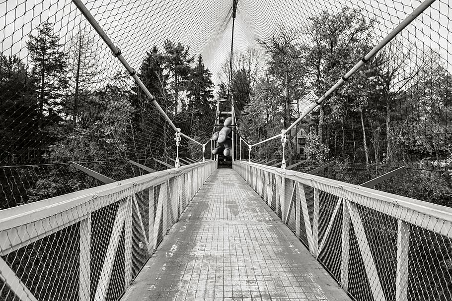 ponte líquida, escala de cinza, fotografia, ponte, dia, madeira, cerca, rede, gaiola, corda