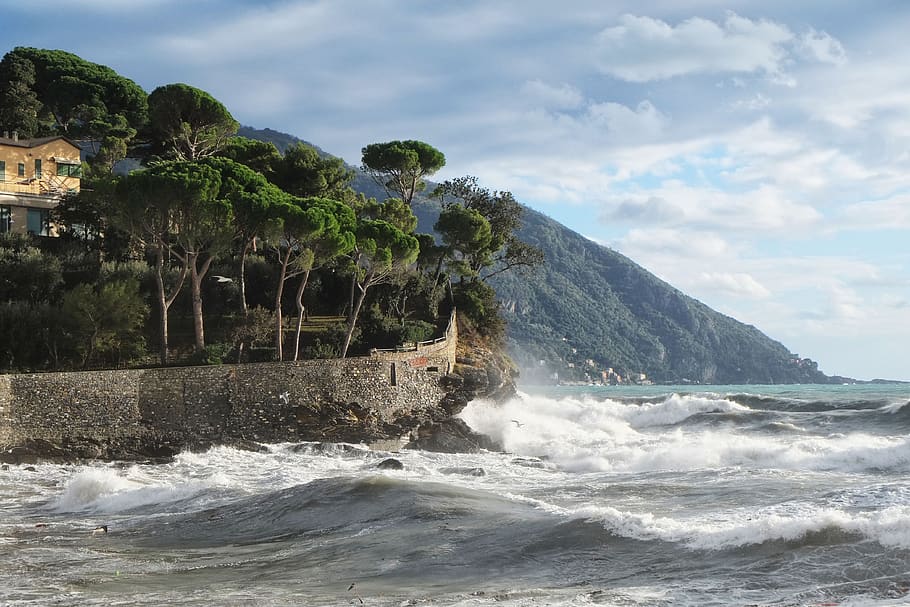 recco, camogli, genoa, city, sea, landscape, tourism, italy, sea storm, nature