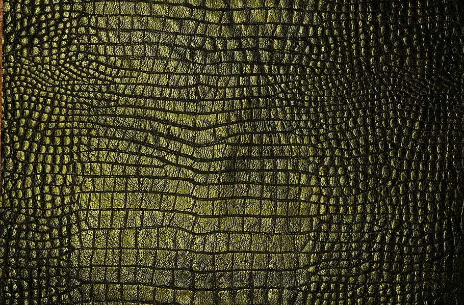 texture, cook, green, skin, écail, chipped off, reptile, full frame, backgrounds, pattern