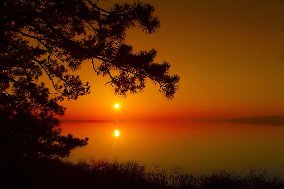 mar, fondo de pantalla de puesta de sol, puesta de sol, amanecer, madera, silueta, día, lago balaton, fonyód, adulto