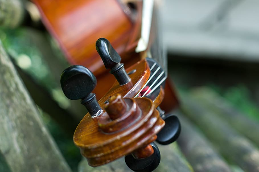 violončello, art, music, musical instrument, wooden, forehead, close-up, wood - material, day, selective focus