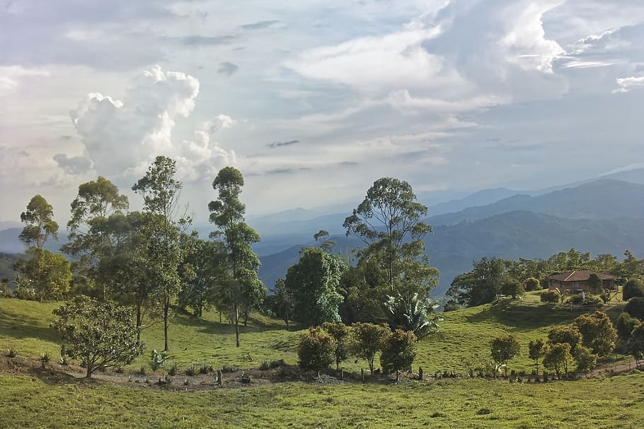 colombia, landscape, mountains, travel, nature, trees, clouds, sky, tree, beauty in nature
