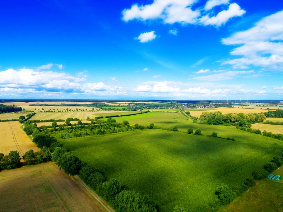 aerial, view photography, green, grass field, drone, quadcopter, flying machine, quadrocopter, aerial photographs, camera